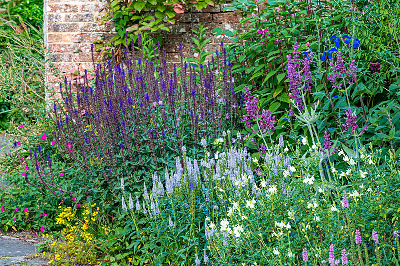 Small perennials border in The Old Potting Sheds. Image John Glover