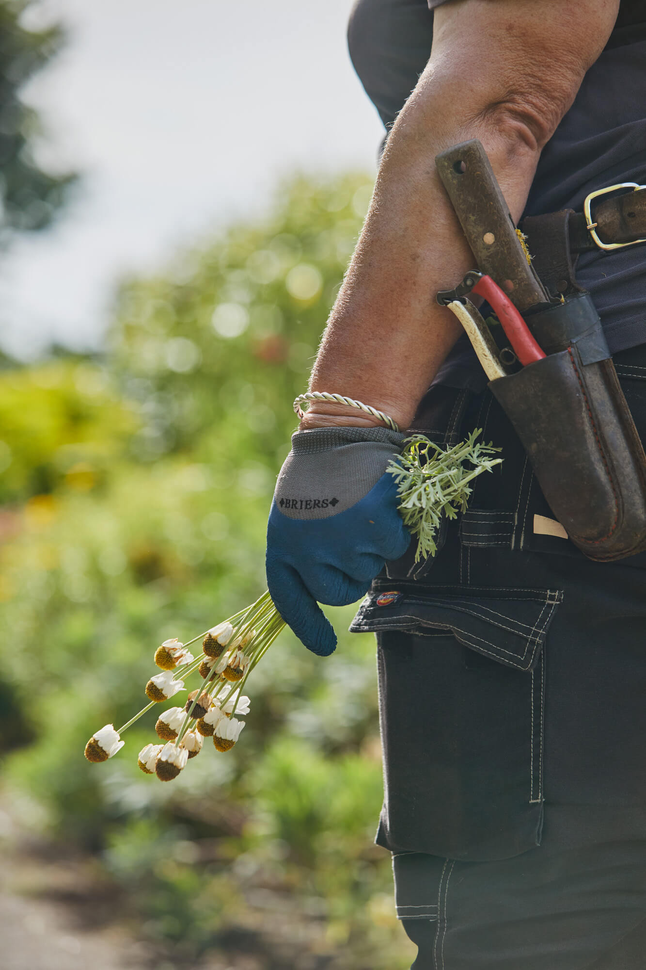 A close up image of a gardener at Borde Hill holding some flowers.