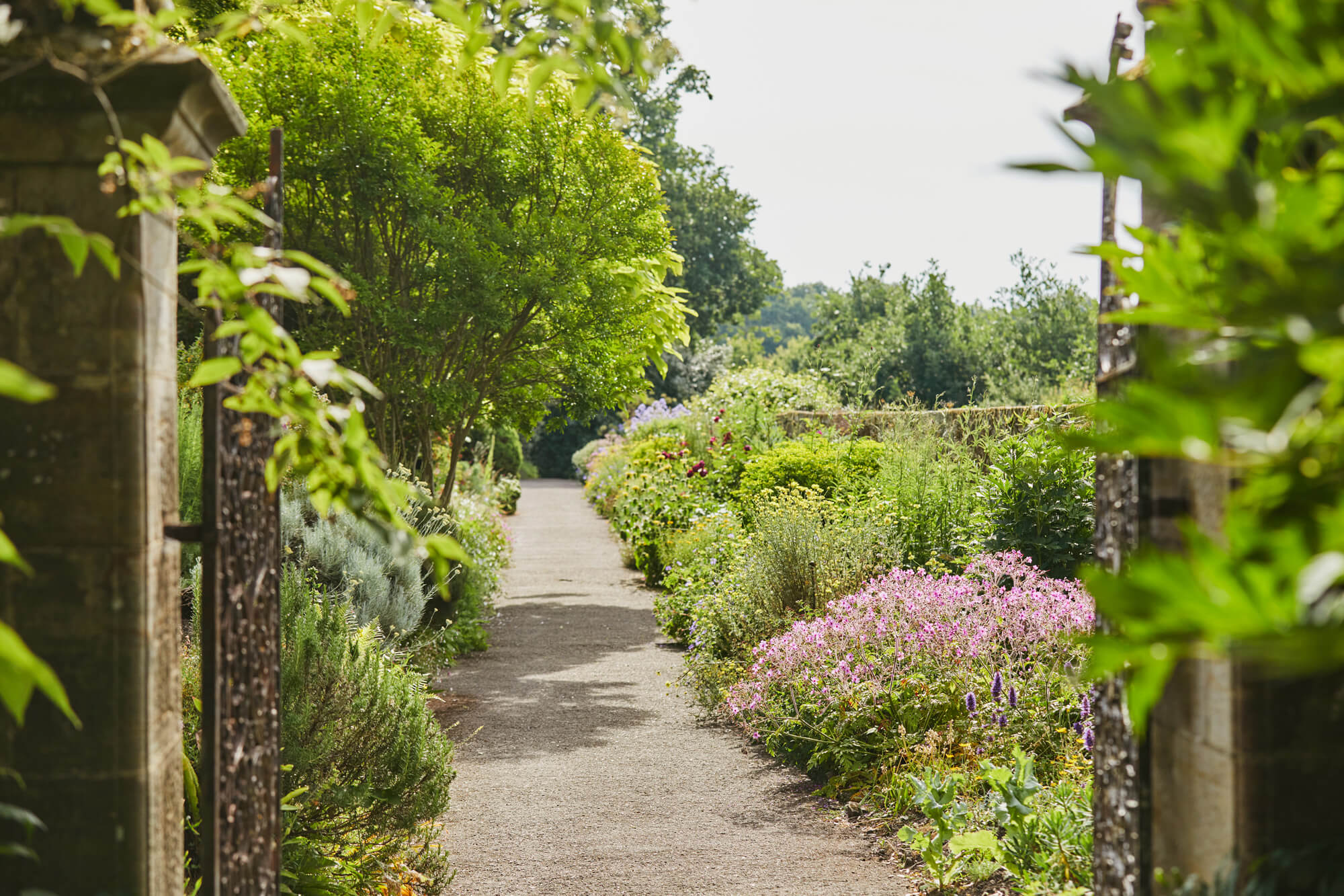 View along Paradise Walk at Borde Hill - herbaceous border in summertime