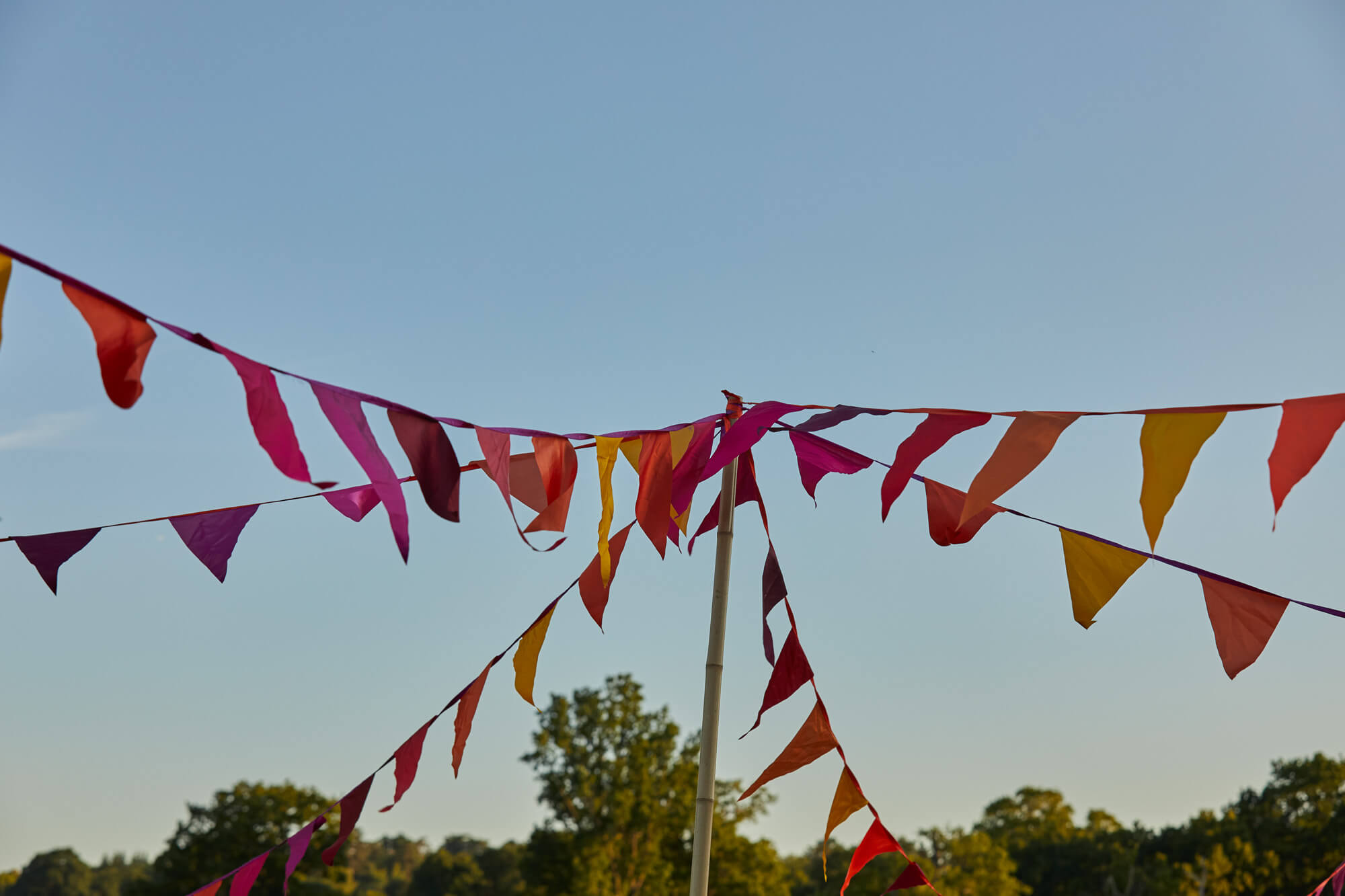 Coloured flags against a blue sky at a Parkland event in the summer at Borde Hill.