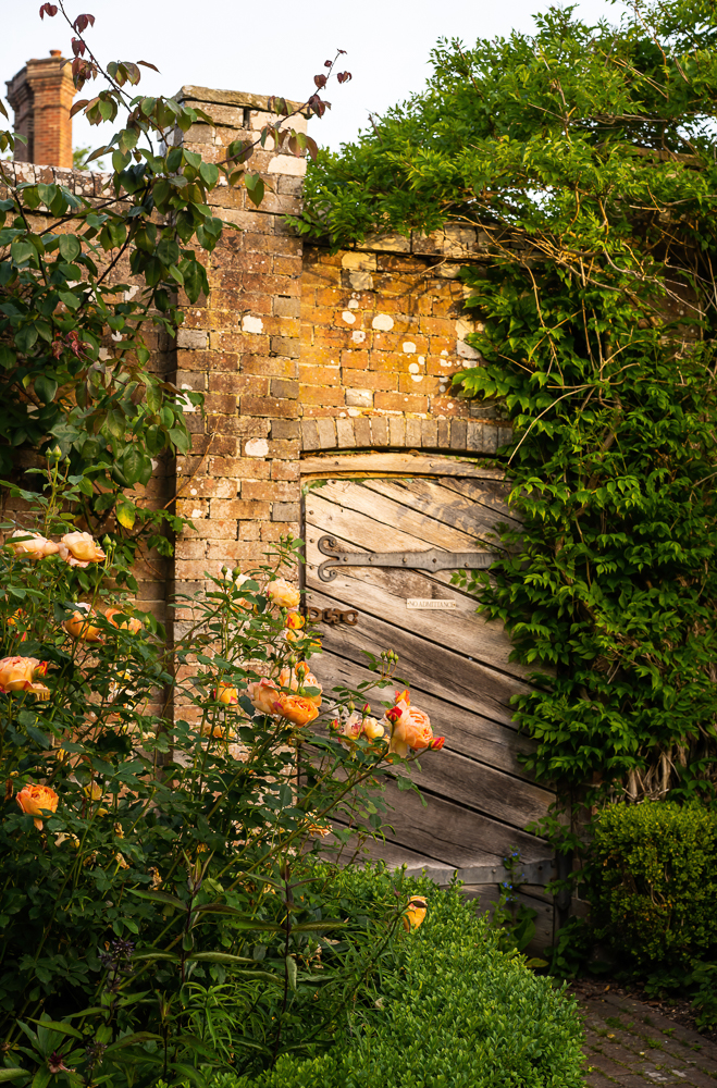 Garden Gate in Jay Robin's Rose Garden at Borde Hill. Image: Molly Hollman