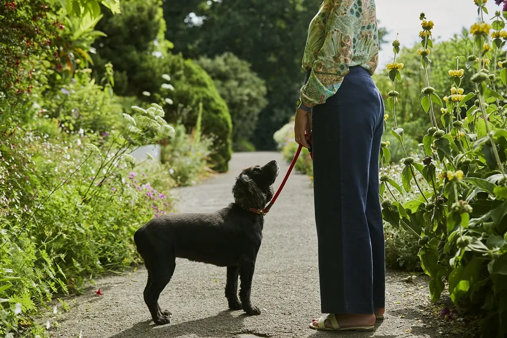 A Dog and its owner in Paradise Walk at Borde Hill. Image Emli Bendixen