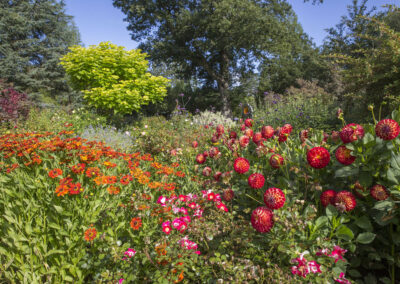 Mid Summer Border at Borde Hill. Image: Brighton Pictures