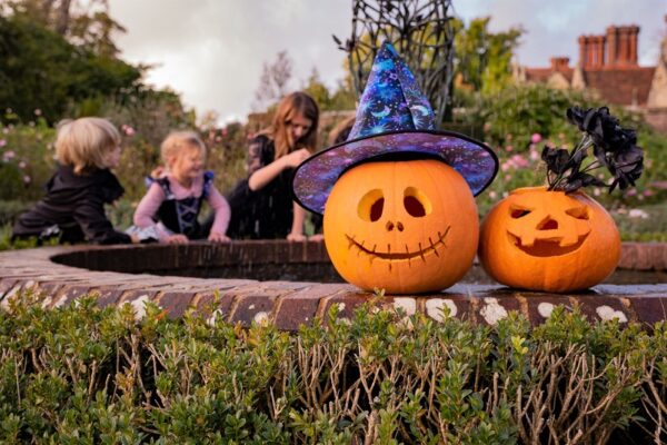 The Halloween Trail at Borde Hill