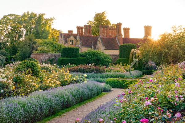 Jay Robin's Rose Garden at Borde Hill. Image: Julie Skelton, awarded a finalist position in the Beautiful Garden’s Category of the International Garden Photographer of the Year Award 2023
