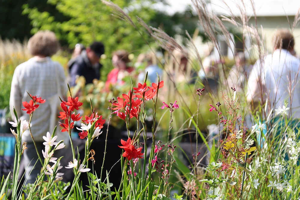 Specialist Autumn Plant Fair