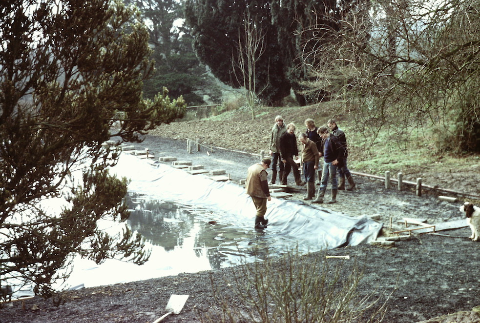 The Tennis Court being converted into The Italian Garden in 1982