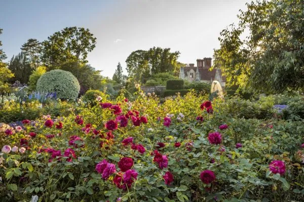 Rose Garden at Borde Hill - Clive Nichols