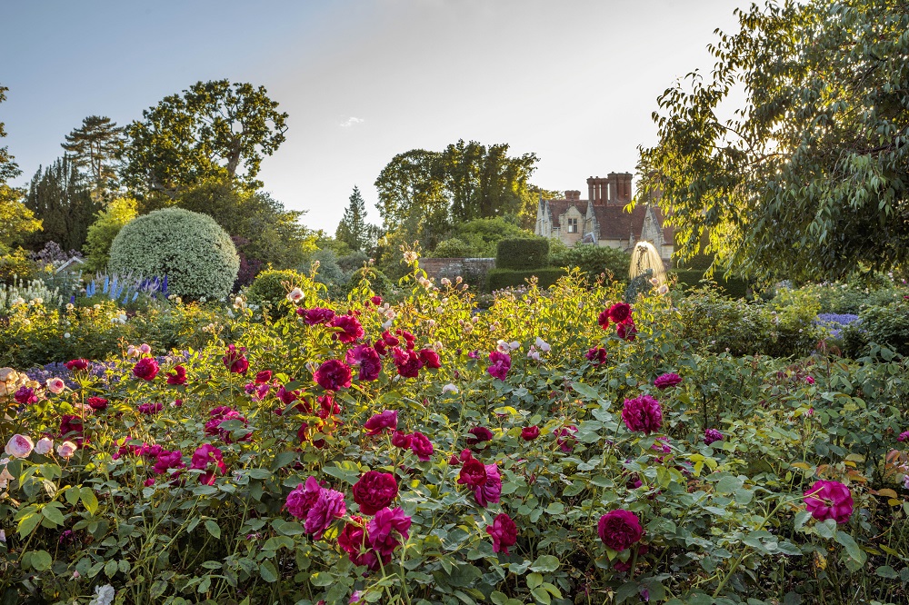 Rose Garden at Borde Hill - Clive Nichols