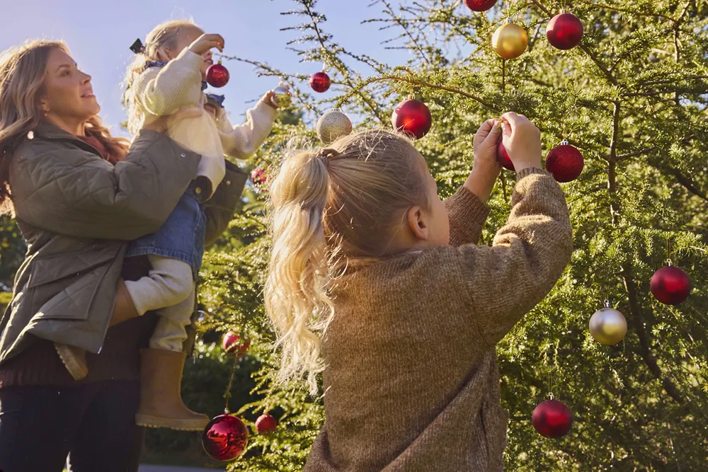 A Family Christmas at Borde Hill – Kids Trail & Grotto