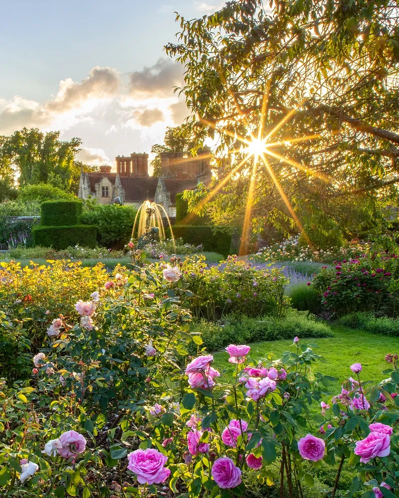 Fountain at Borde Hill. Image: John Glover