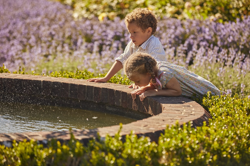 A summertime view of a child walking between lavendar and roses in the Rose Garden at Borde Hill.