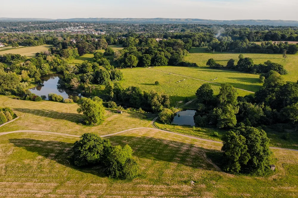 Nature’s Next Generation: Local Cubs Champion Conservation at Borde Hill