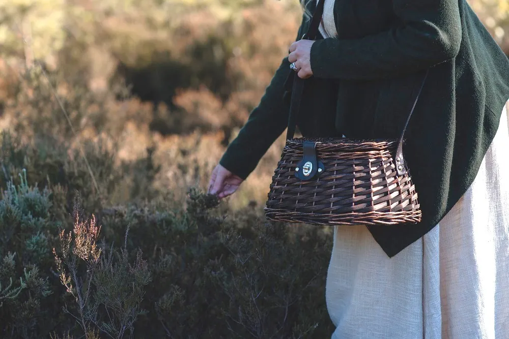 Autumn Foraging Workshop