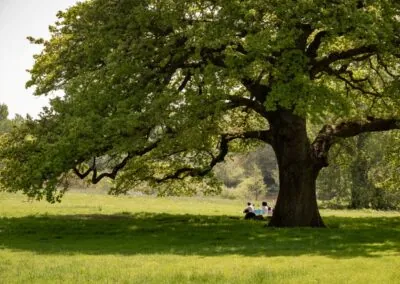 Community Morning: Help Shape the Future of South Park