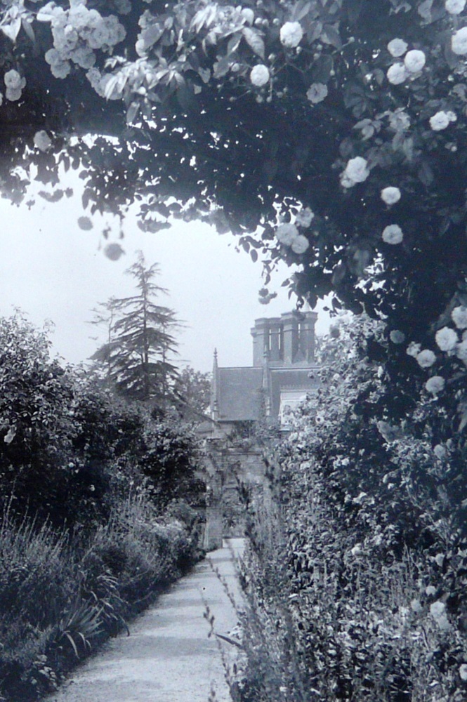 1902 Country Life Image of the Rose Garden