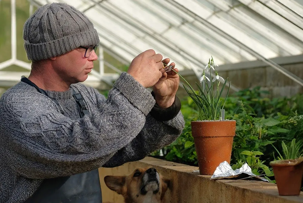Talk & Tour with Tom Coward: Making the Most of the Garden in Winter