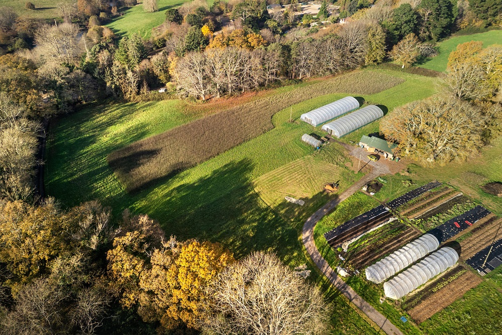 Introducing Our Community Growing Garden