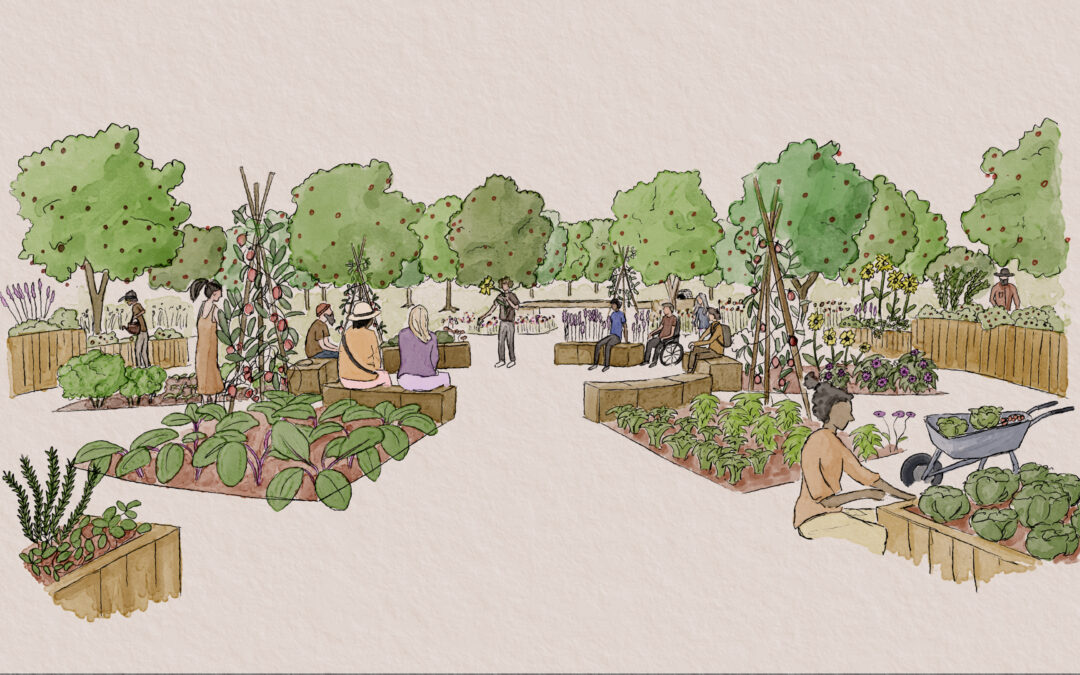 The Start of Our Community Growing Garden Journey