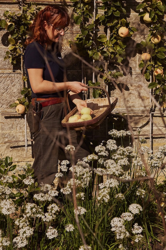 The Growers Project. Image: Julie Skelton