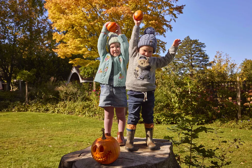 The Halloween Trail at Borde Hill