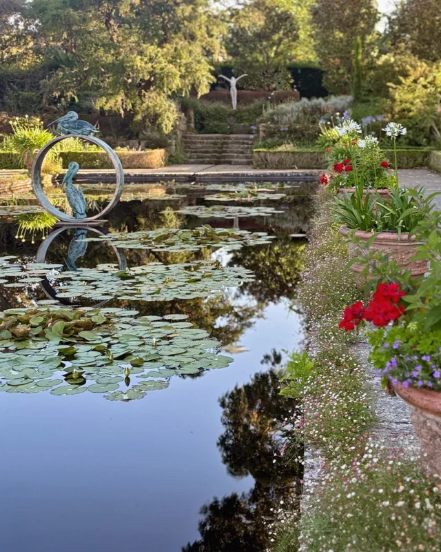 On a bright July day, the Italian Garden is a place to pause and soak in the season. Framed by symmetry and stillness, its sunlit terraces and clipped evergreens create a quiet rhythm, softened by fragrant blooms and the gentle shimmer of water.⁠
⁠
Here, time slows. The warmth of the stone, the hush of leaves, and large pots brimming with vibrant pelargoniums and agapanthus create a space where summer settles in and stays awhile.⁠
⁠
#BordeHillGarden #ItalianGarden #SummerInTheGarden #GardenInspiration #SussexGardens